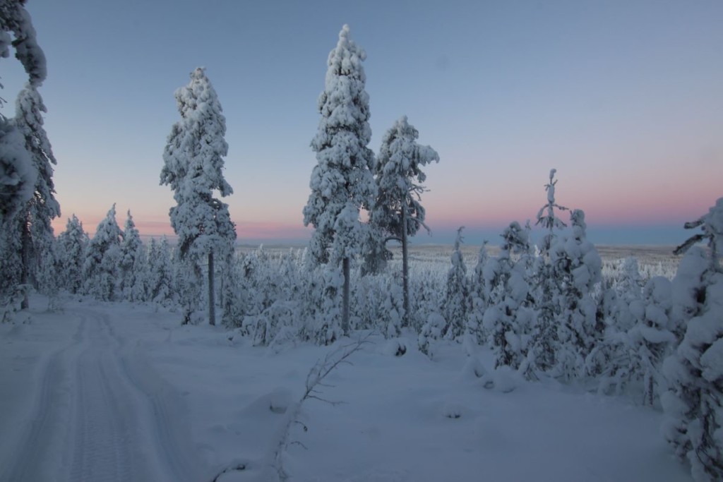 Luminen talvimaisema Pohjois-Suomessa.