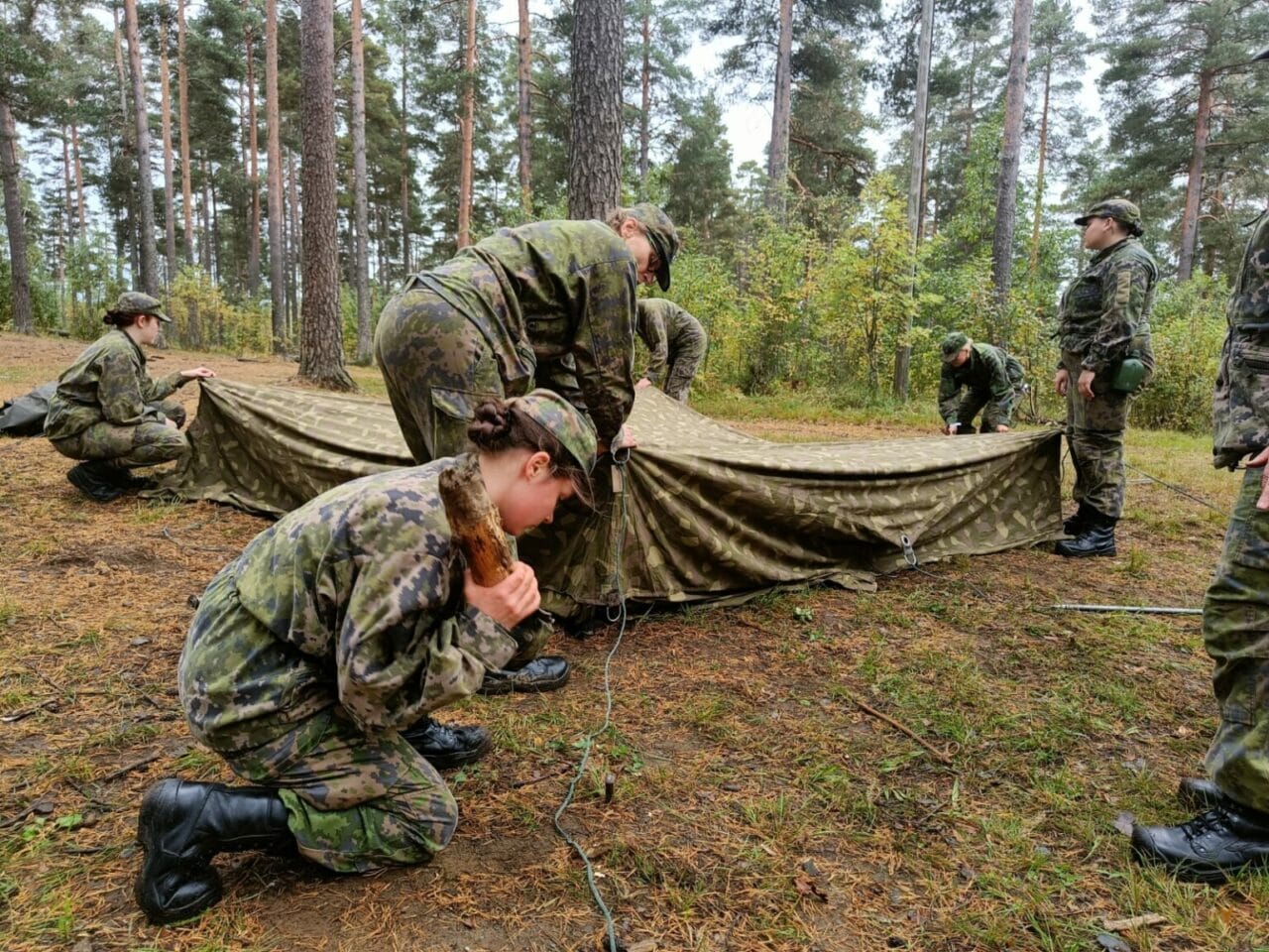 Ryhmä maastoasuisia henkilöitä pystyttää telttaa metsässä
