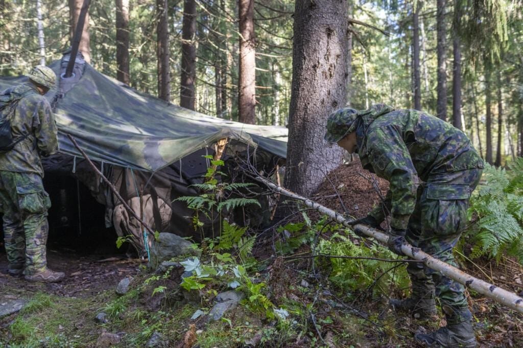 Sotilas asettaa ohutta koivua naamioverkon ja metsäisen maan väliin.