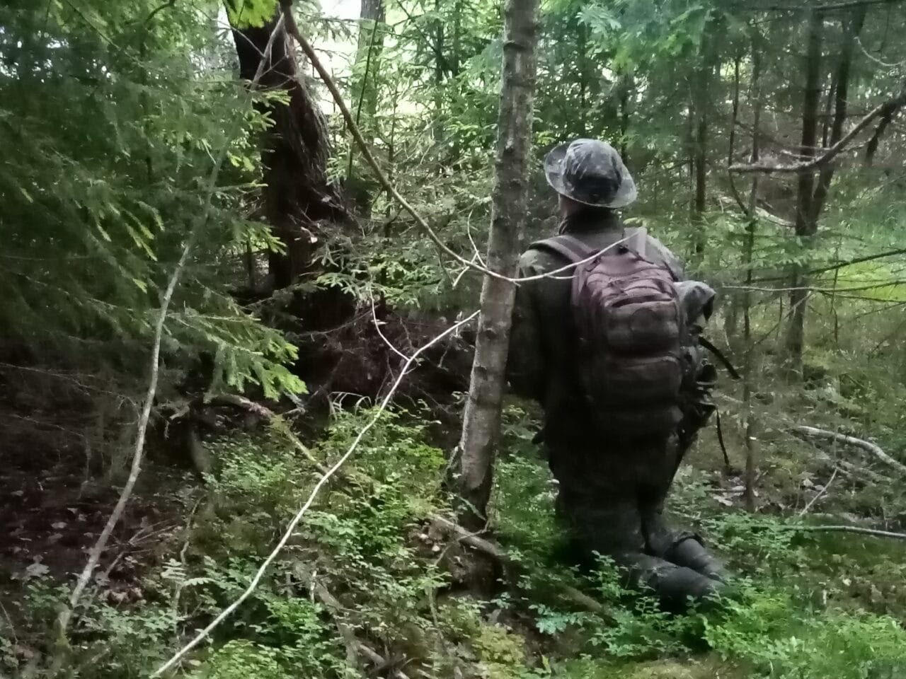 Vastatoimintaosastoa metsän keskellä