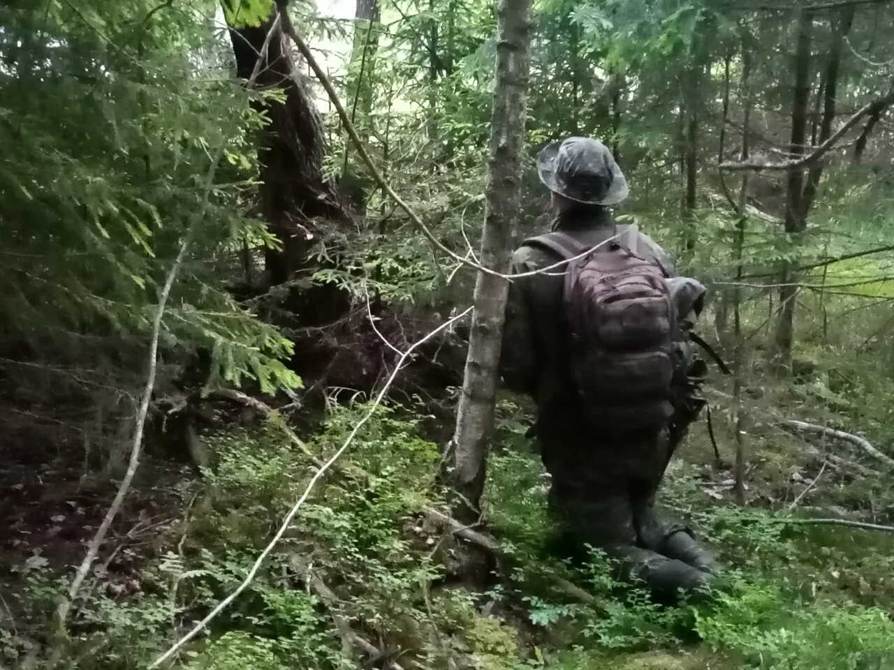 Vastatoimintaosastoa metsän keskellä