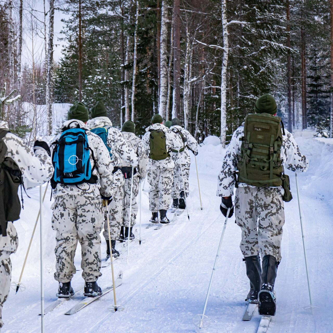 Lumipukuun pukeutuneita hiihtäjiä reput selässä hiihtämässä kamerasta poispäin talviseen metsään auratulla ladulla.